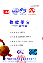 沈阳电力变压器检测报告